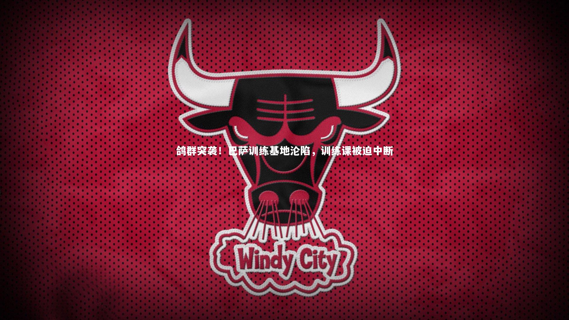 28圈足球：鸽群突袭！巴萨训练基地沦陷，训练课被迫中断