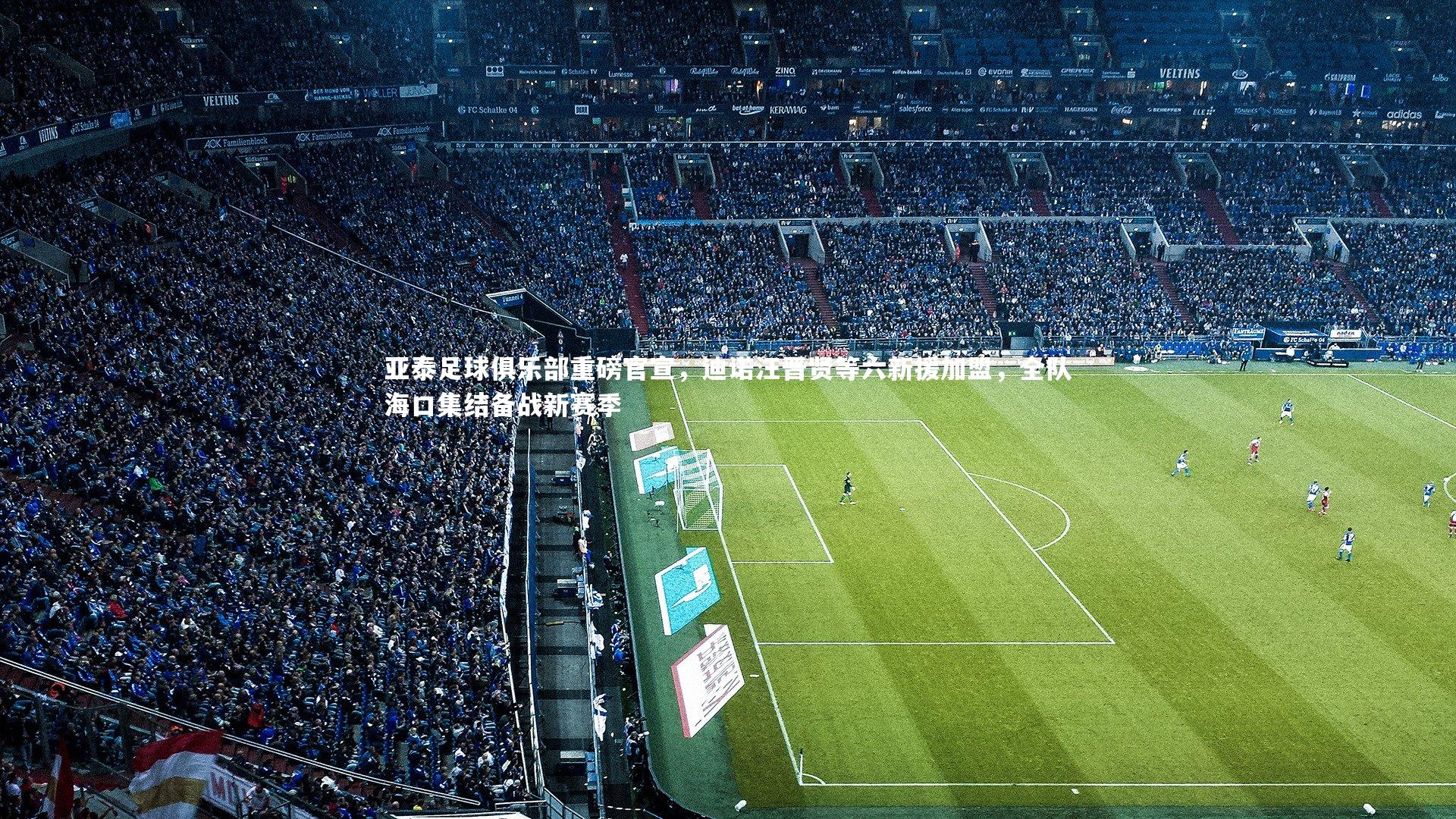 亚泰足球俱乐部重磅官宣，迪诺汪晋贤等六新援加盟，全队海口集结备战新赛季